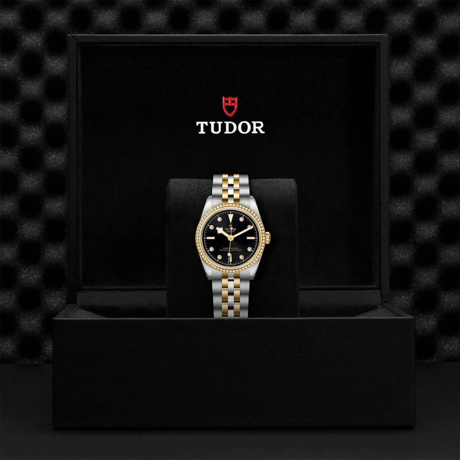 Tudor Black Bay S&G 31 Diamond Automatic Ladies Watch - Image 5