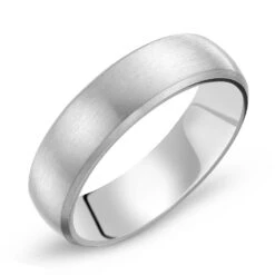 Titanium Brushed Men's Ring